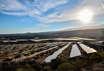 Waaree Renewable Enters Australia New Zealand Solar Market Industry Outlook